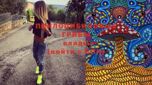 ГАЛЛЮЦИНОГЕННЫЕ ГРИБЫ Волосово