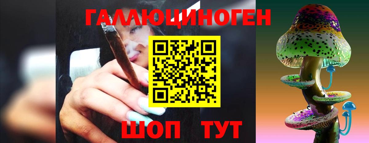 Горно-Алтайск  Псилоцибиновые грибы GOLDEN TEACHER  Вход с VPN 